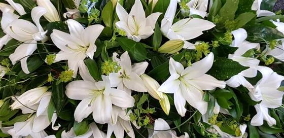 Oriental Lily Casket Spray - Rams florists