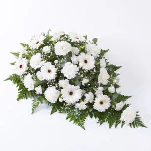 Carnation and Gemini