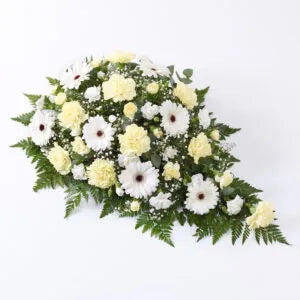 Carnation and Gemini