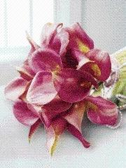 Deep Pink Calla Lily & Pearl Bridal Bouquet - Rams florists