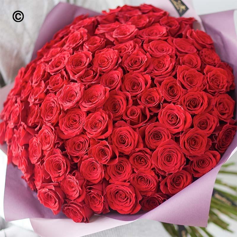 100 Large headed Red Rose Valentines Handtied
