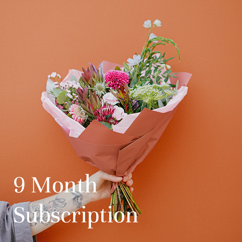 9 Month Subscription