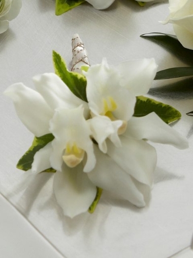 Mini Cymbidium Orchid Boutonniere